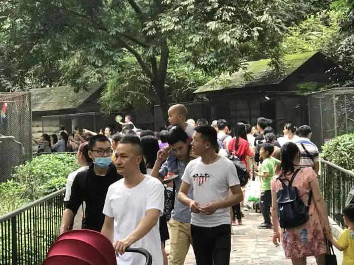 广州动物园搬迁,广州动物园要关闭了吗