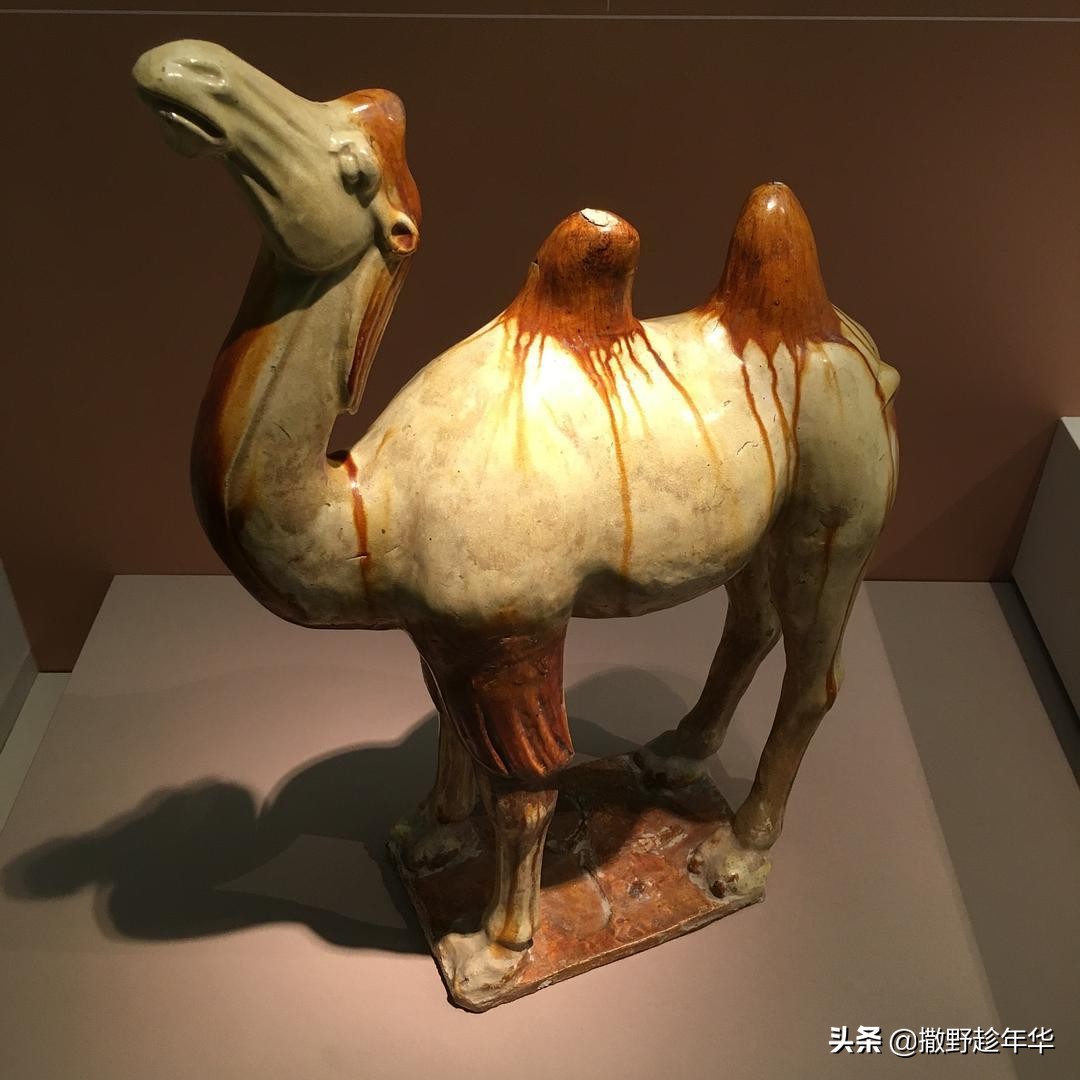 青海甘肃丝绸之旅,青海丝绸之路旅游路线攻略图