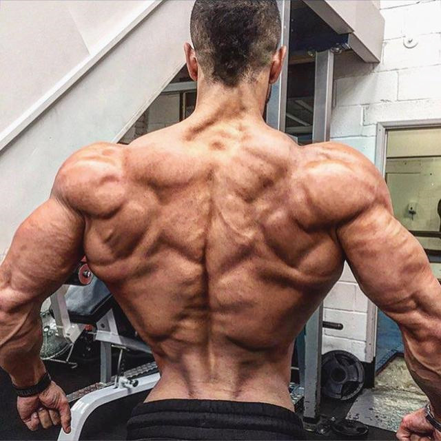 背阔肌和大臂肌的训练,弹力绳直臂下拉背阔肌