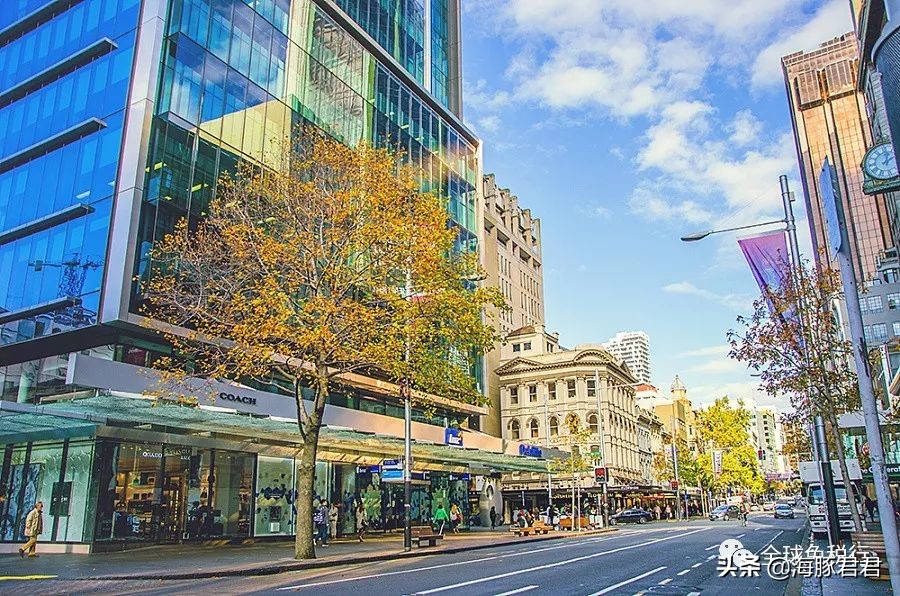 奥克兰旅游必买清单,新西兰奥克兰旅游攻略最全