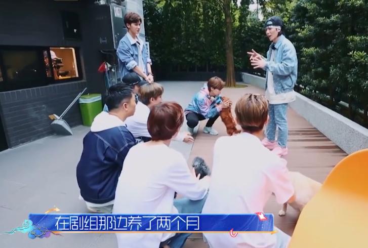 萧敬腾豪宅手办,萧敬腾八千万豪宅