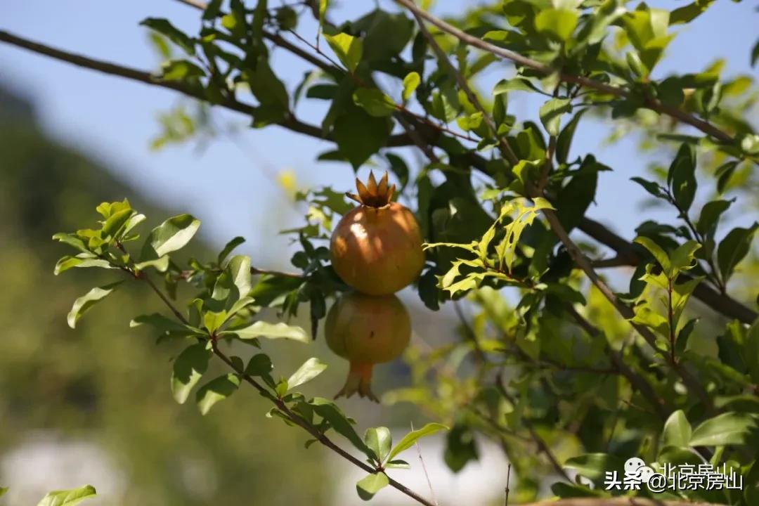 废弃的矿山正在改造成为一座公园,废弃矿坑改造成美丽公园