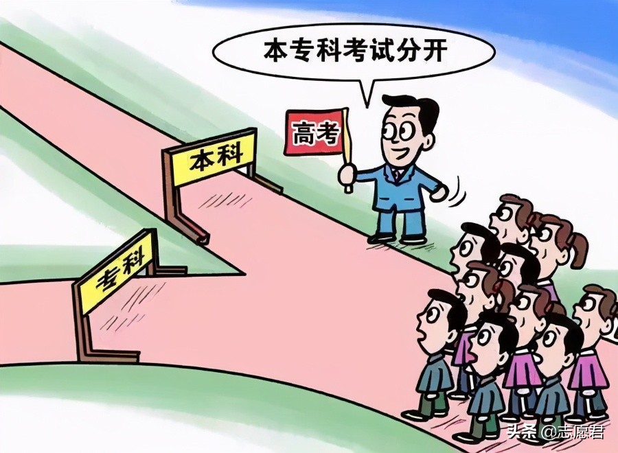 广东有哪些高职可以推荐的,广东高职院校就业前景排名