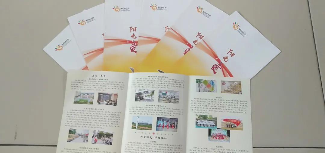 幼儿园大排查大走访大宣传方案,幼儿园群众大走访