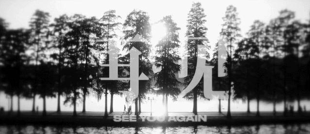 达达乐队重逢完整版,达达乐队第二次重聚