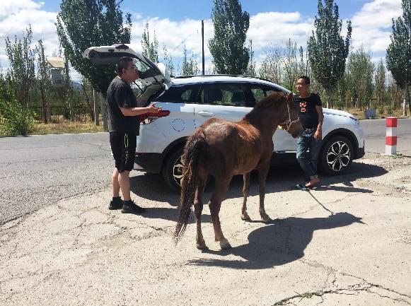 端午返京车流混进了一匹“汗血宝马”路人围观更堵了