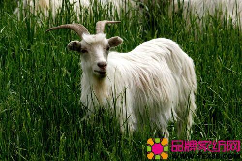 锦纶加氨纶面料的优缺点,复合绒面料衣服的优缺点