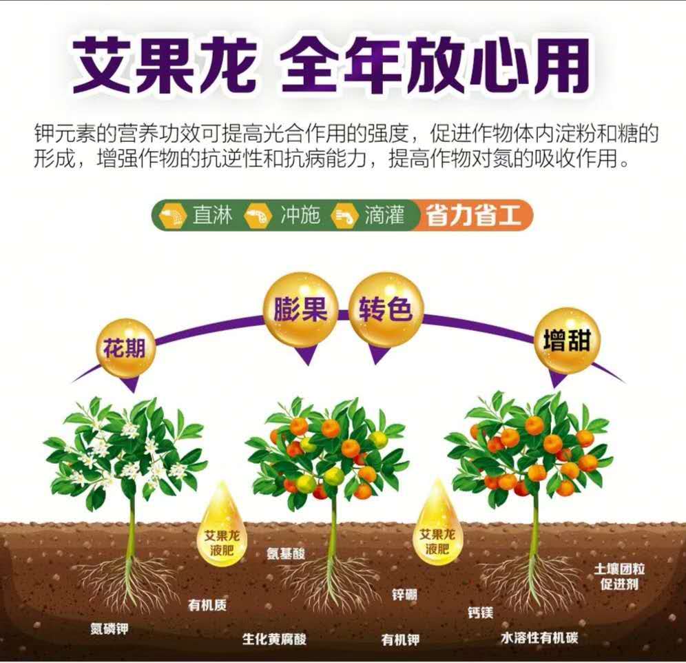 猕猴桃花后保果技术 (猕猴桃花期管理坐果管理技术)