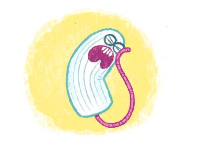 女生例假必备神器卫生巾,例假必备神器卫生巾