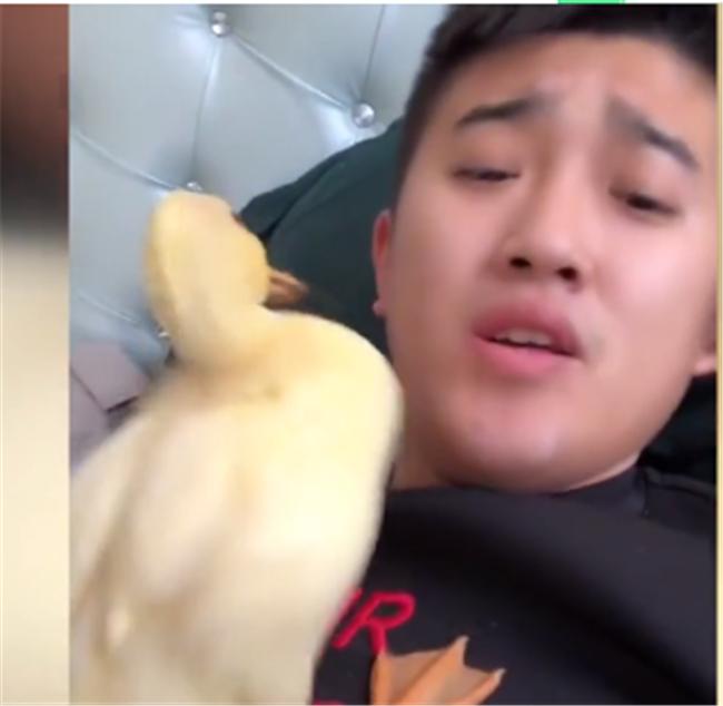 格格：“电动鸭刷”魔性走红，主人：为它不吃鸭肉，它拿我当妈