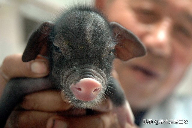 适合农村夫妻小本加工项目,农村小本创业项目大全