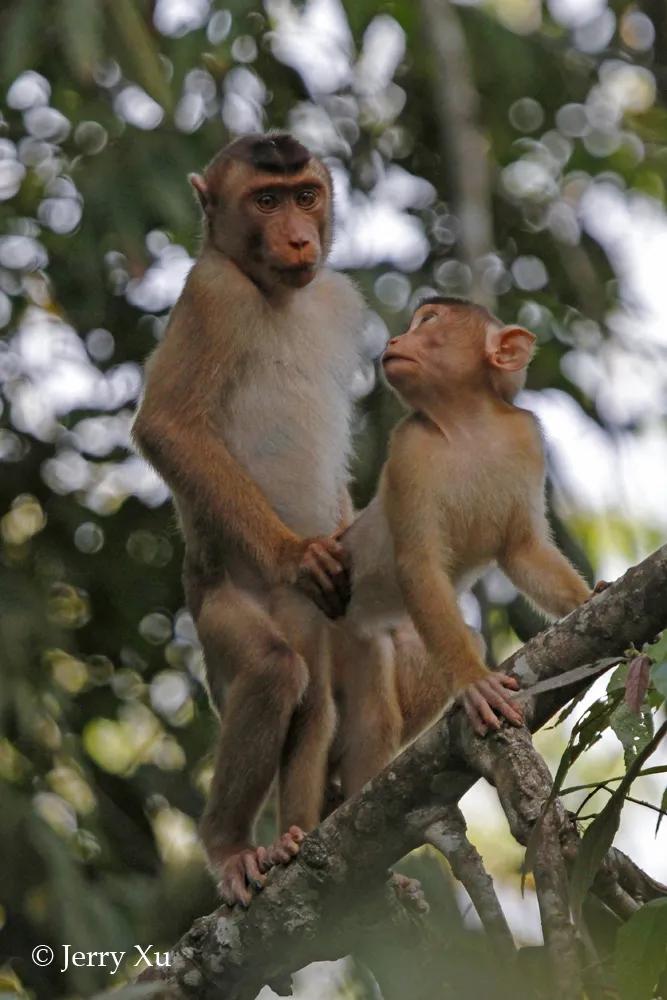 情人节，就该和爱的人*爱做**做的事