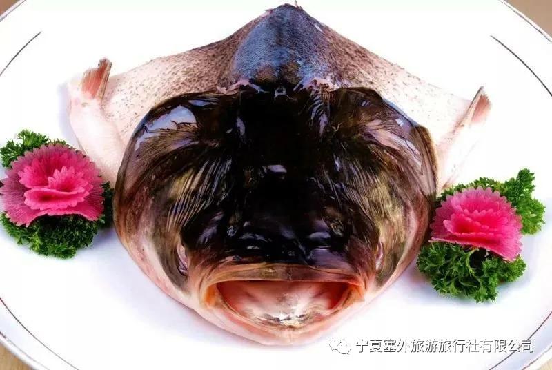 宁夏塞外旅游旅行社有限公司招聘,宁夏塞外旅游旅行社