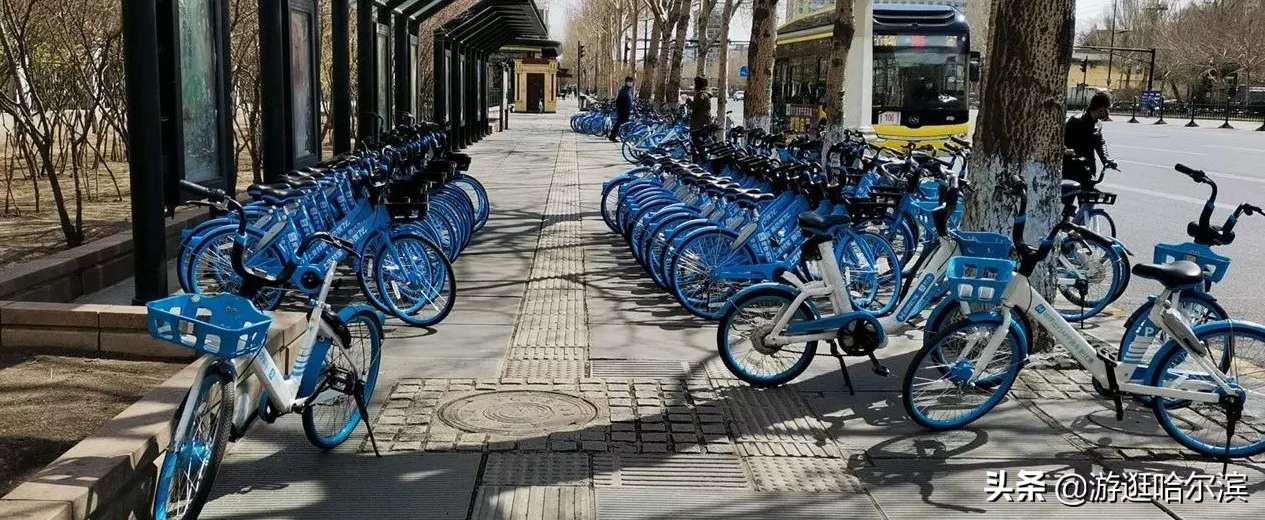 哈尔滨最新规划的公园,哈尔滨现在街道状况