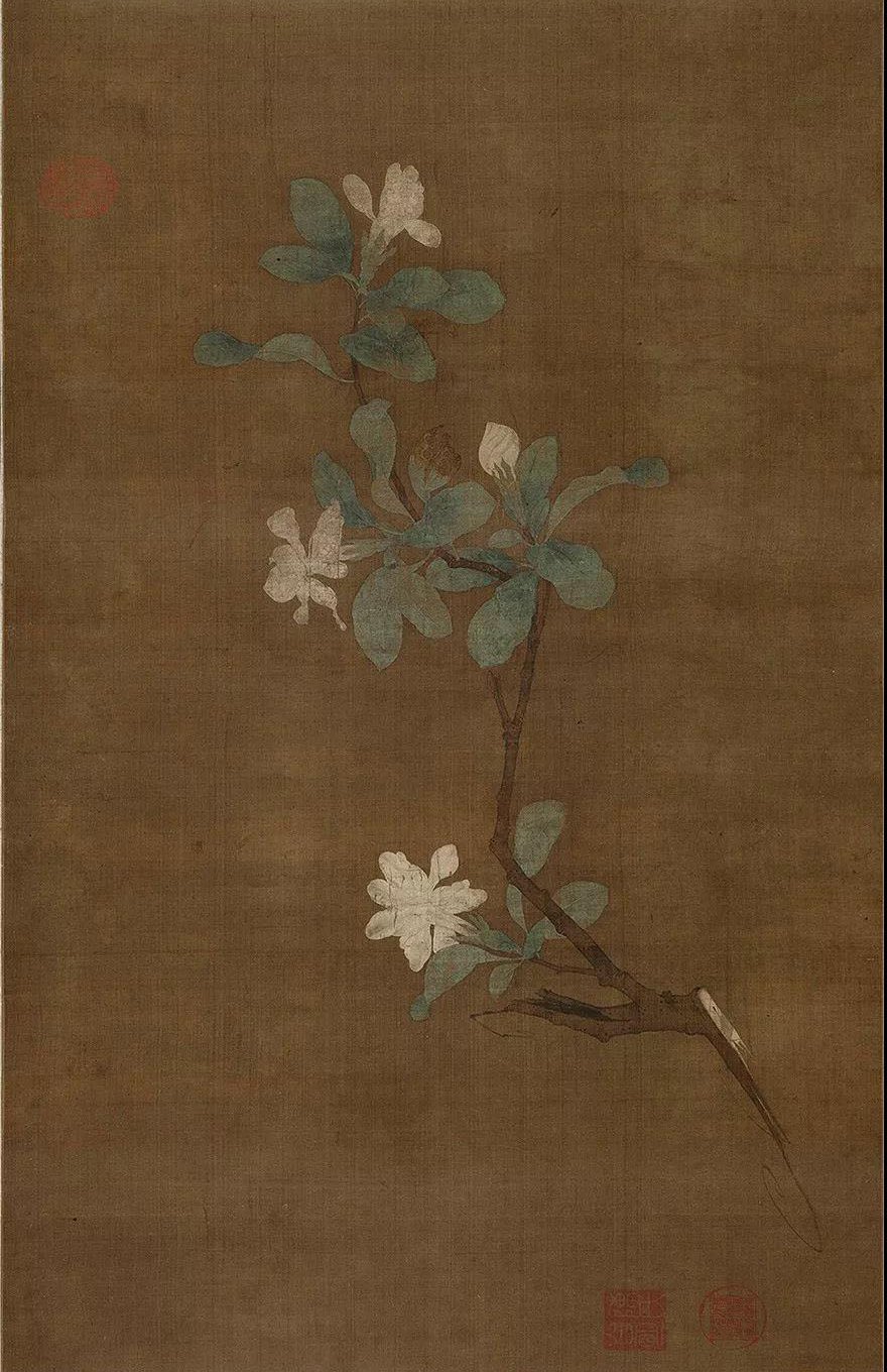 学画画最基础的从哪里学起,60岁学画画入门