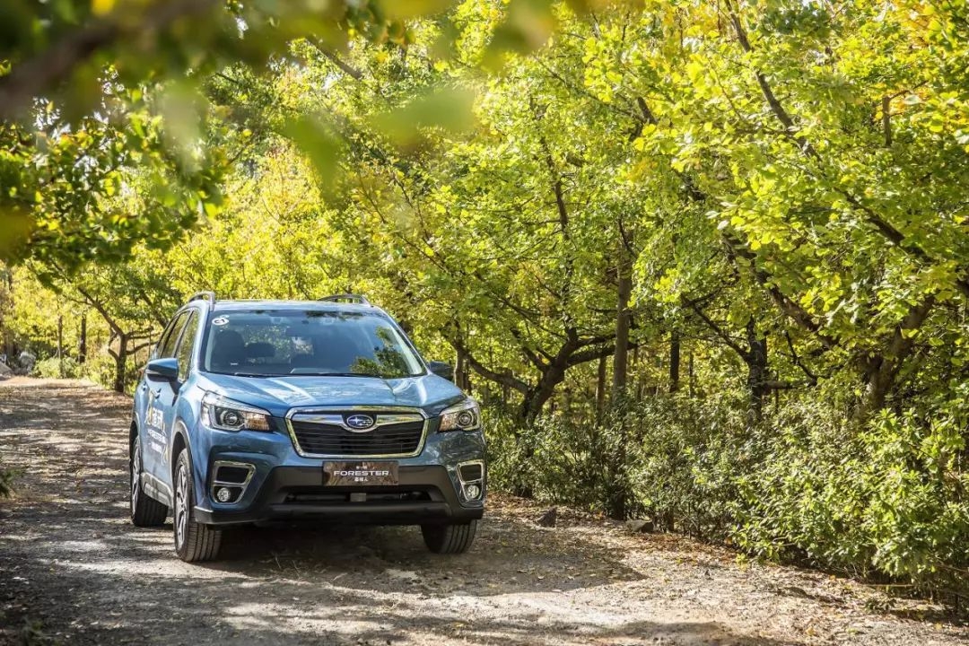 试驾全新一代森林人,森林人换代后感受