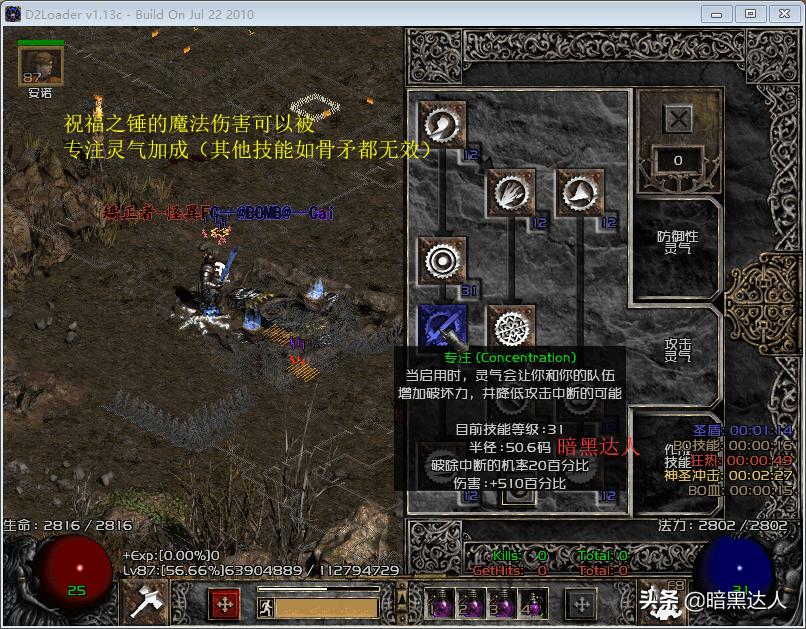 暗黑2圣骑士打boss用什么技能,暗黑2圣骑士和死灵法师哪个厉害