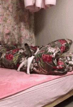 捡到了u盘里面会有什么,捡到一个u盘还好没有用