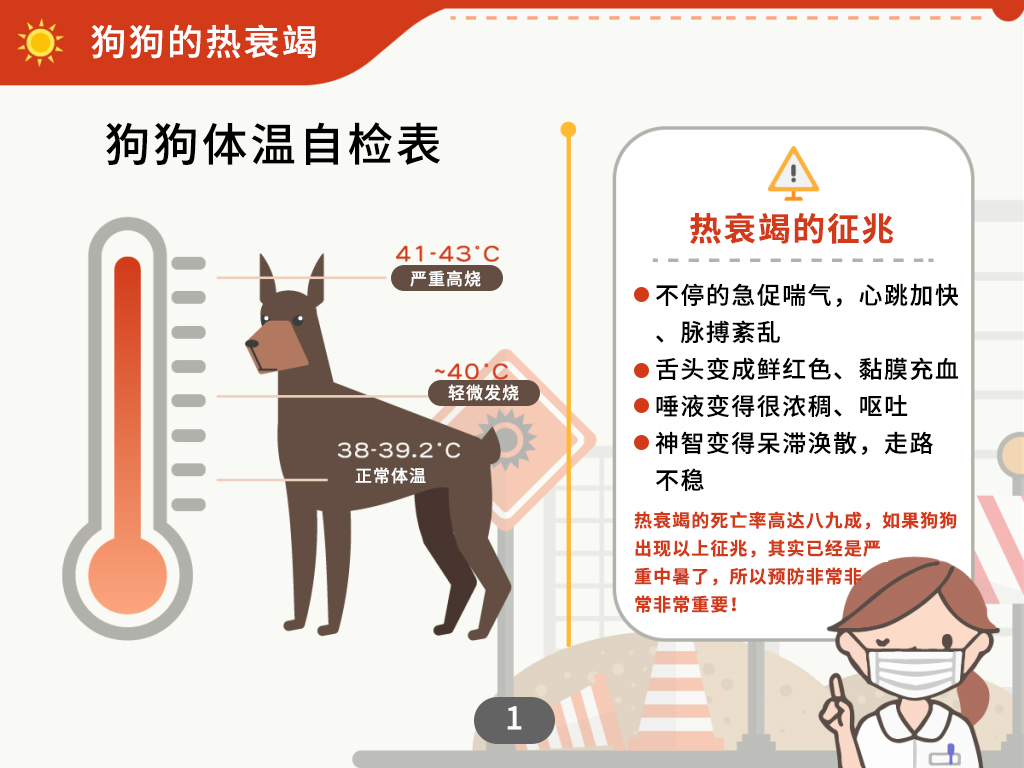 狗狗中暑急救处理方法,狗狗中暑呼吸急促怎么办吃什么药