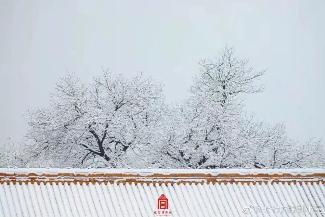 我和14万人一起，参与了2021年最盛大的一场许愿