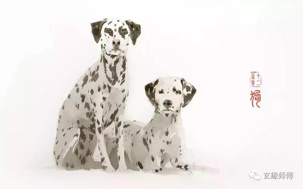 十二生肖最幸福配对表,十二生肖情侣必看生肖婚配