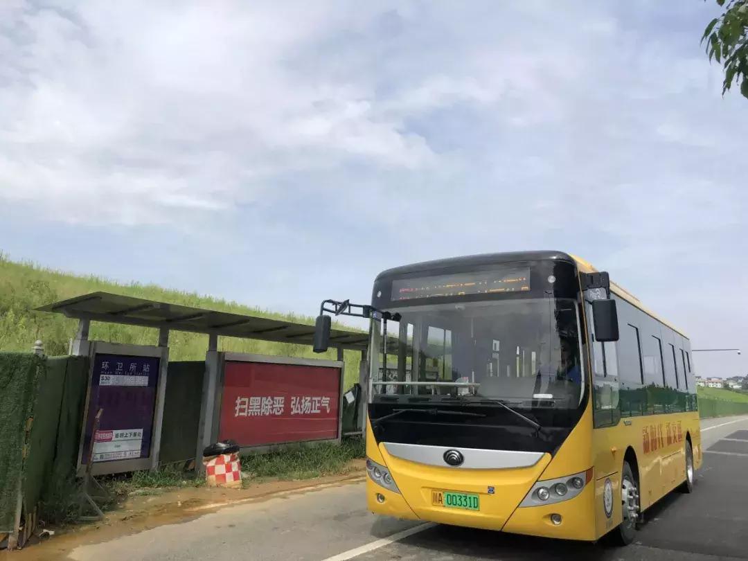 双流哪里可以赏花看飞机,双流附近赏花攻略路线