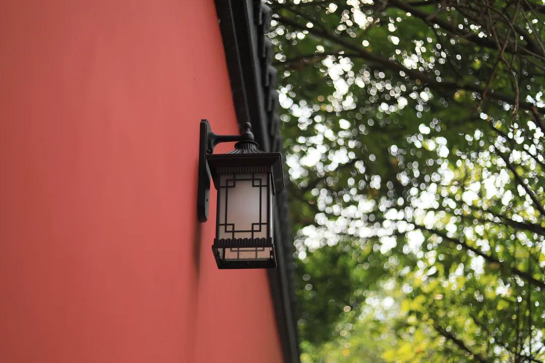 重庆主城网红打卡地景点推荐,重庆新网红地打卡