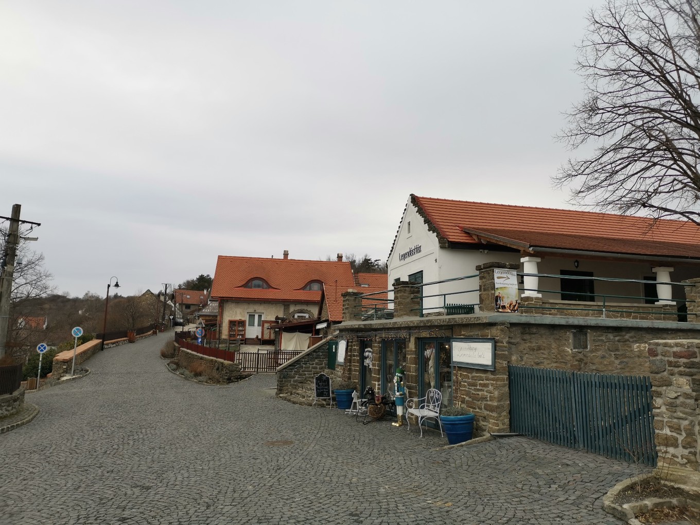 中欧旅游攻略多瑙河,中欧览秀城美食