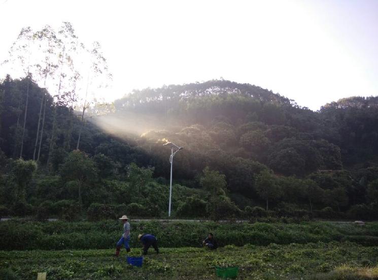 1000亩地怎样打造一个生态农场,300亩农场建设视频