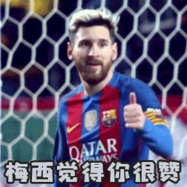 派迪茵羽毛球网架价格,派迪茵体育股份有限公司瑞金