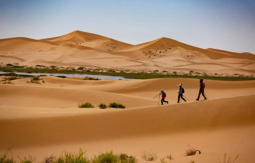 限时领券抢满减优惠,限时优惠抢券