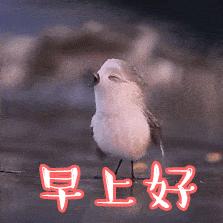 日本最好用的15款面膜推荐,日本thestemcell面膜