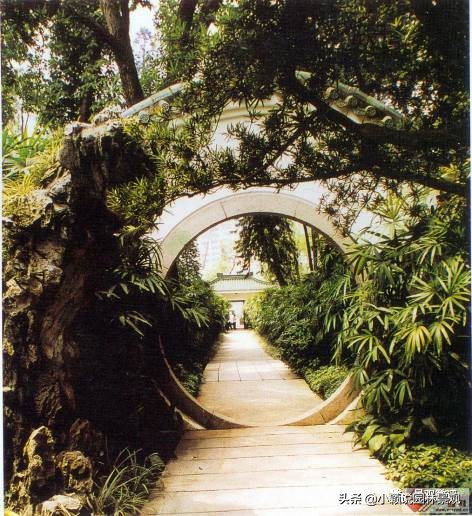 住宅小区植物配置方案,植物种植小技巧一览表图