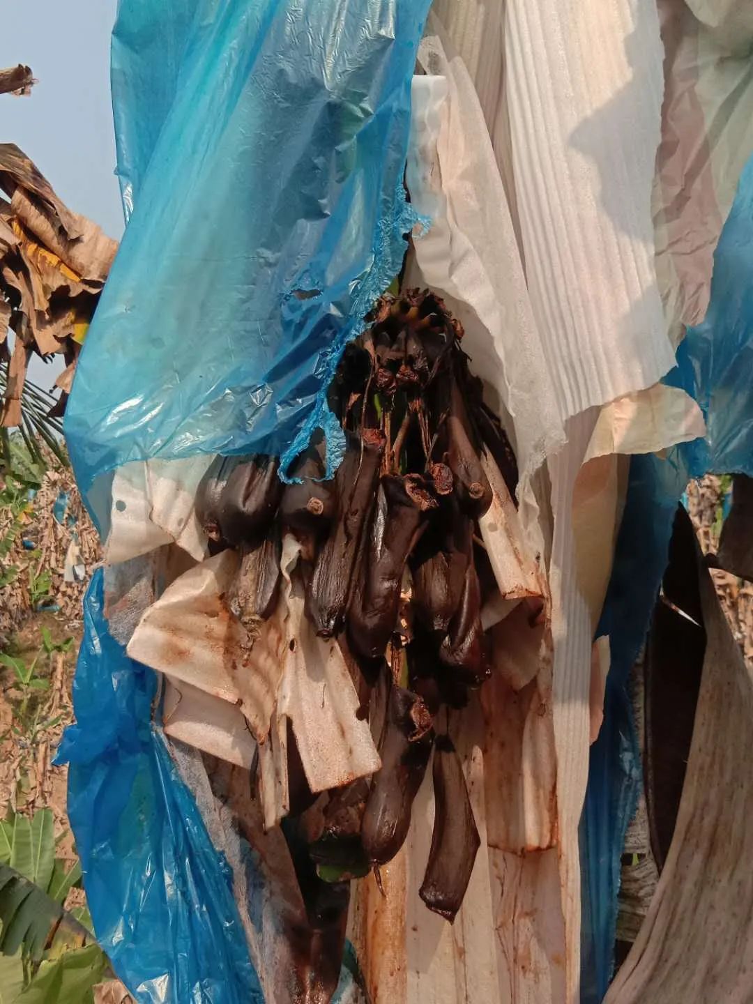 涓紖杈瑰棣欒晧,涓紖杈瑰钑夊啘