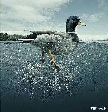 想靠摆地摊一年挣50万真的很难吗,90后男子摆地摊两个月赚7万