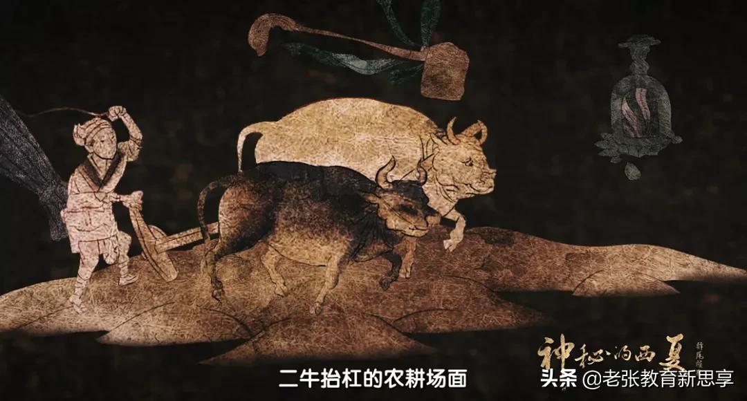 涨知识是什么原因,你知道牛为什么叫做牛吗