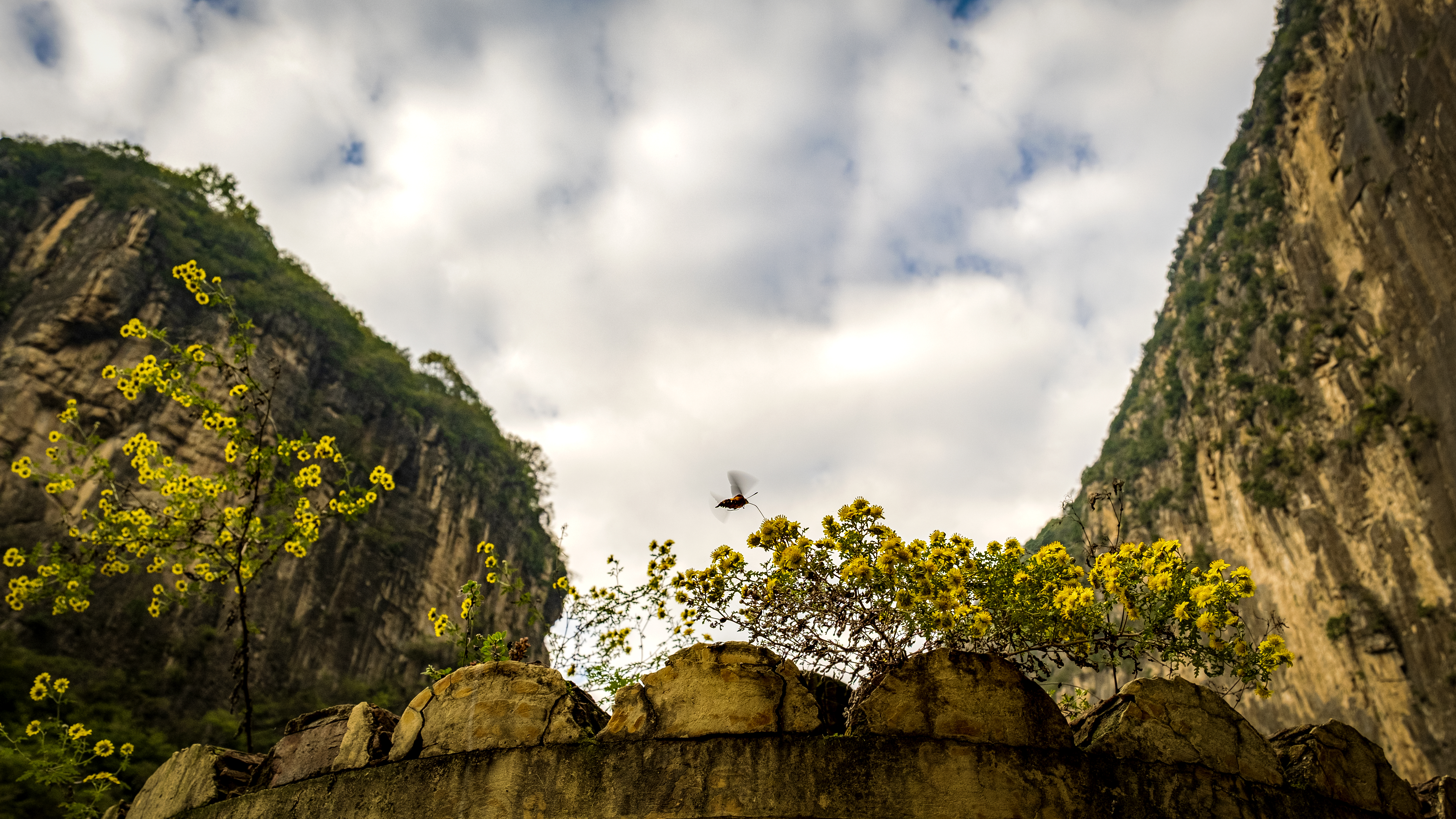 秋色美景落雨图片,秋色美景绝色大图