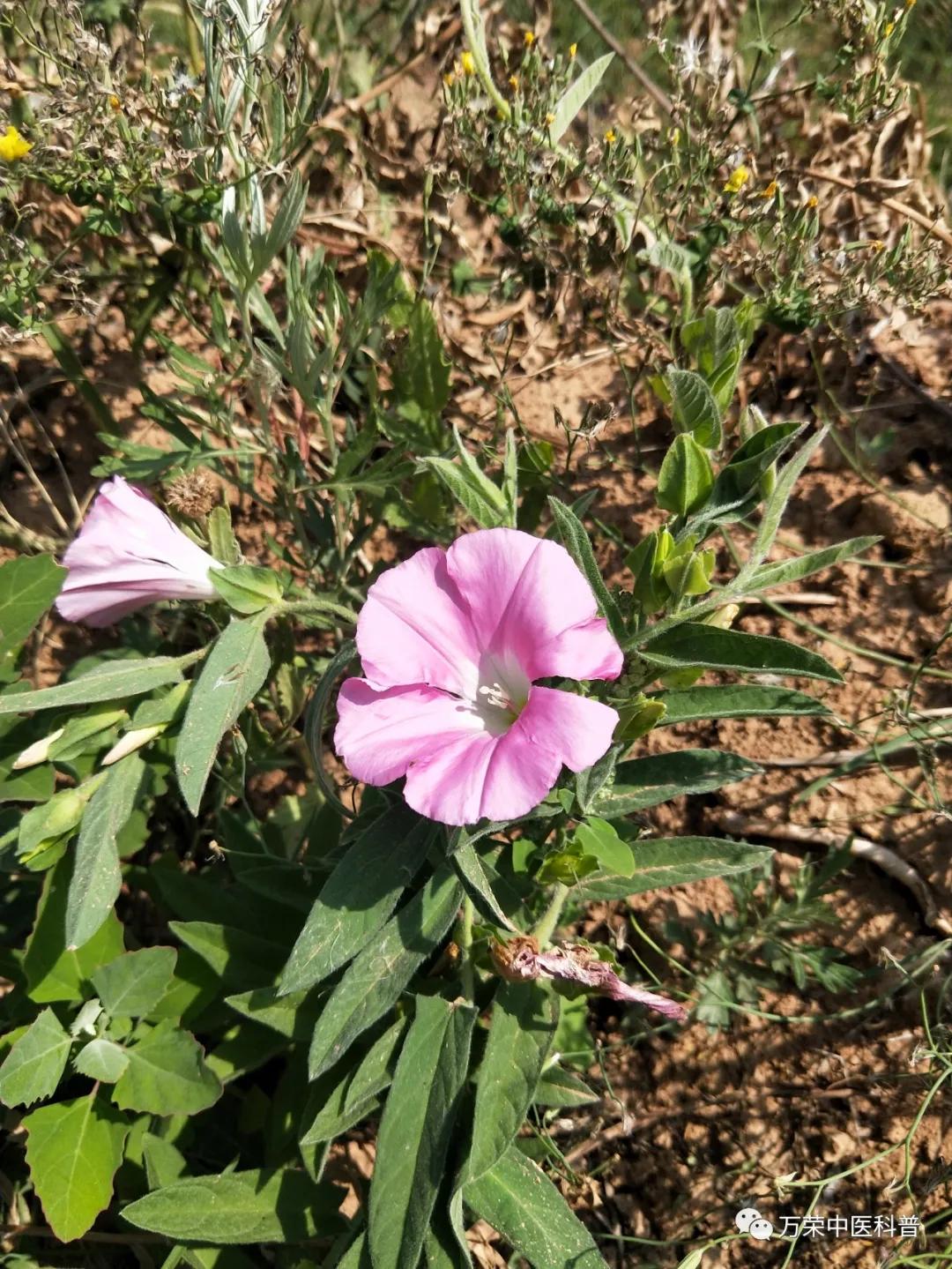 跟我回家在线免费看,跟我回家免费看