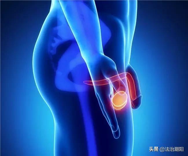 看看*品毒**是怎样摧残你的身体的!