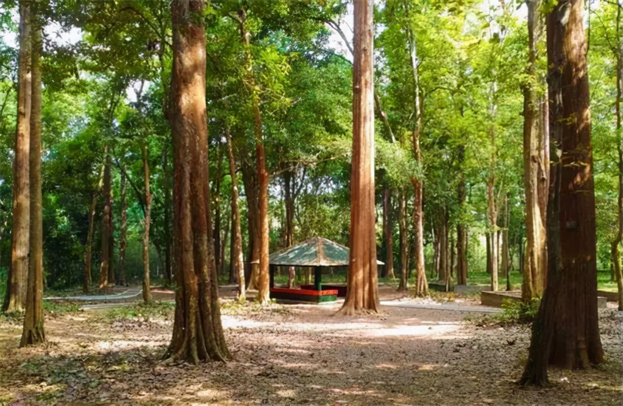 世界最奢华的柚木家具,全球十大顶级奢侈家具品牌大揭秘