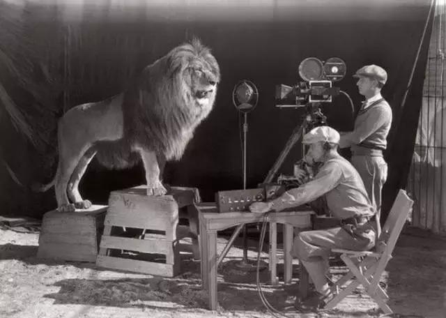 霍金站起来的照片,霍金站着