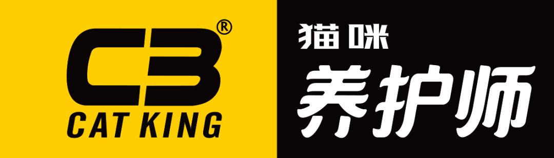 猫加强和猫三联一样吗,猫大狸花猫