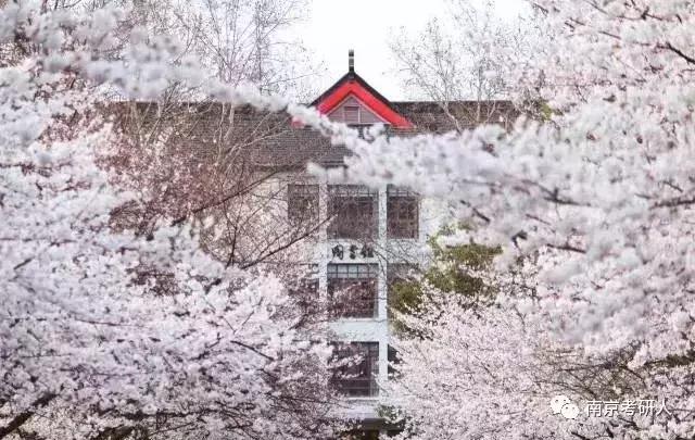 2019考研择校分析—南京林业大学