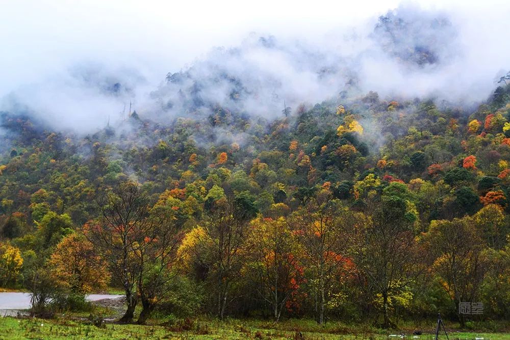 湖北深秋自驾游景点推荐,秋色彩林川西自驾