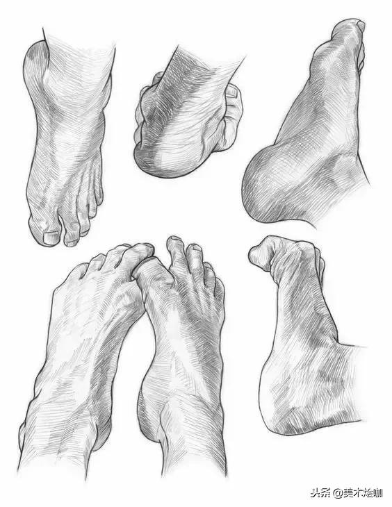 有了画画本和彩色笔还要用什么,有了这些临摹资料你还需要买书吗