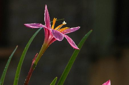 在社会上混得很差该怎么调整,越混越差的人五种心理弱点
