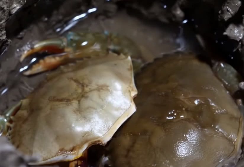 海鲜冷知识模板,软壳蟹要吃什么