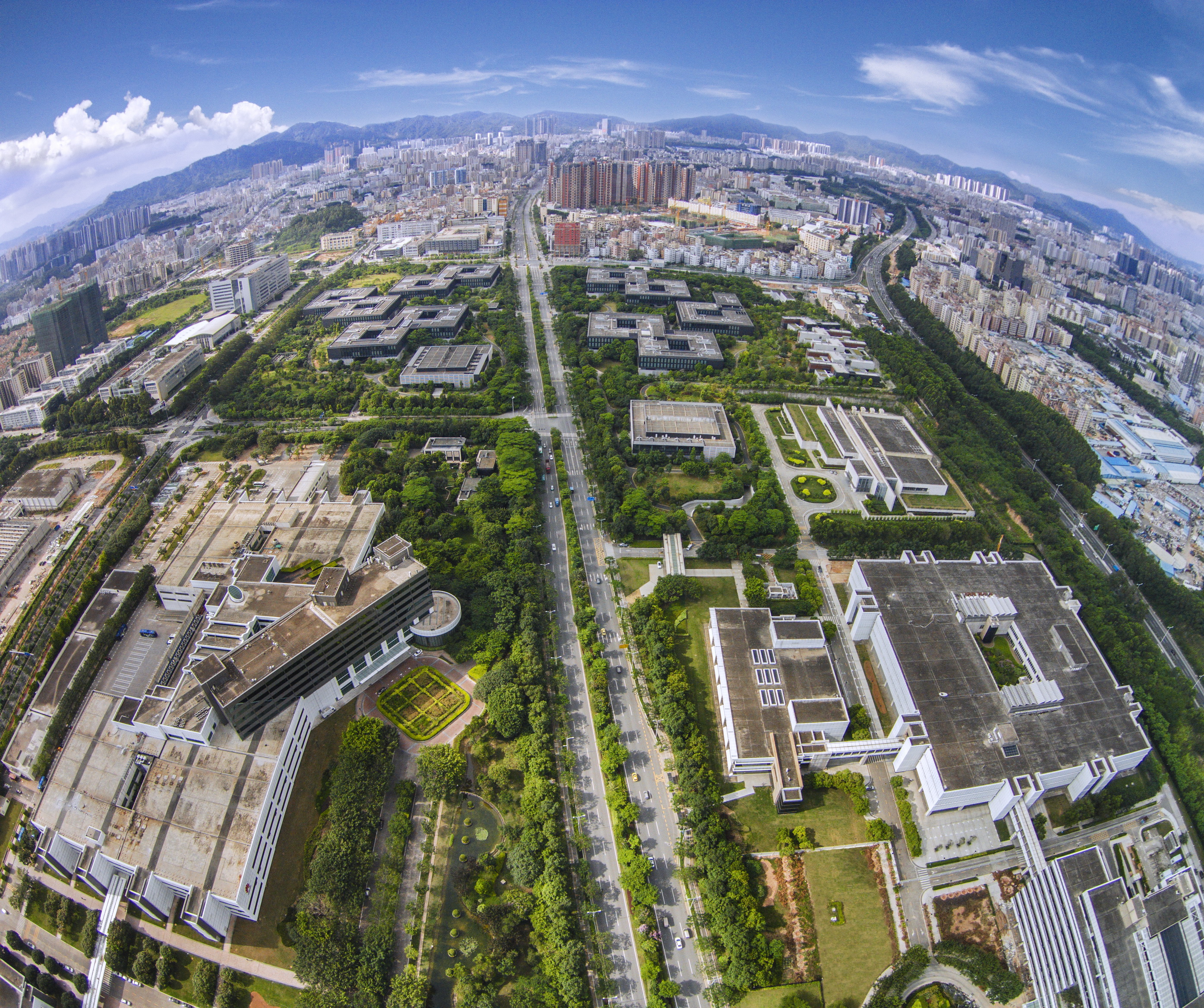 龙岗东进,深圳东进龙岗怎么样