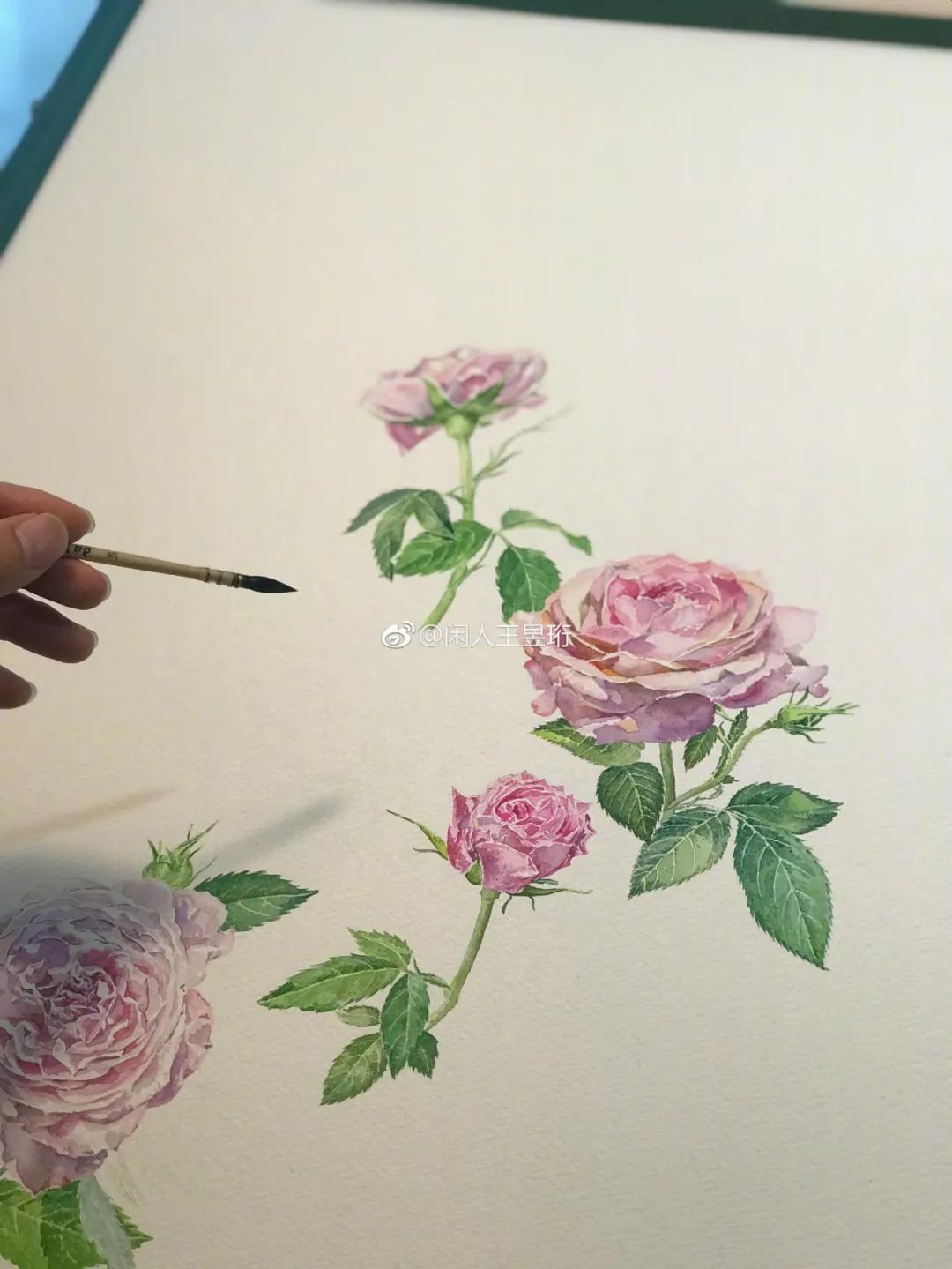 王昱珩上学经历,清华毕业的王昱珩