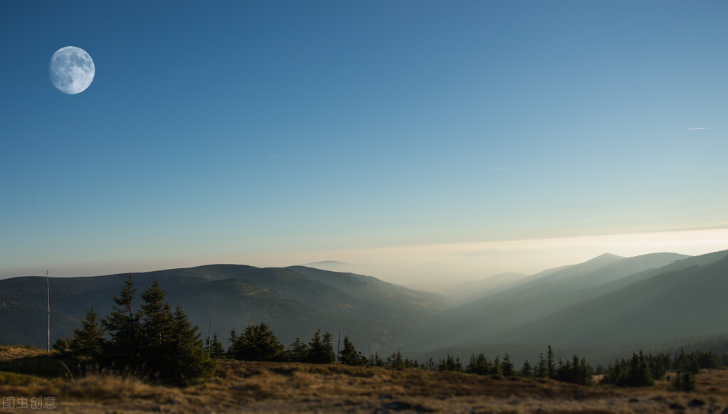 蝉蜕辛夷白芷,蝉蜕文言文